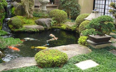 This photo is from a gallery of Hawaiian garden images on the Pacific Agricultural Sales and Services website.