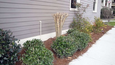 Topped crape myrtles are easy to spot in the late winter and early spring. Photo: utahwildflowers/Flickr