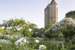 white-garden-sissinghurst-national-trust