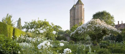 The White Garden at Sissinghurst Castle in Kent, England, peaks in late June. Photo: National Trust