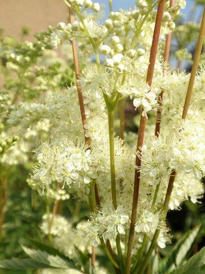 Photo: Amanda Slater/Flickr