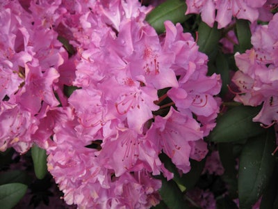 Photo: Bernt Rostad/Flickr