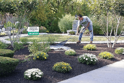 Driven-Landscapes-Garden-design-768×768