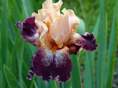 Photo: Kathryn Lovejoy/Flickr