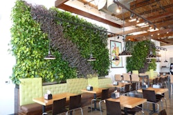 The green walls in Brome Burgers & Shakes is maintained by Bell’s Landscape Services Inc. Photo: LiveWall