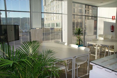 office-space-indoor-plants
