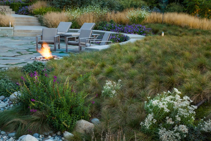 How To Create A Matrix Garden For Year, Year Round Landscaping