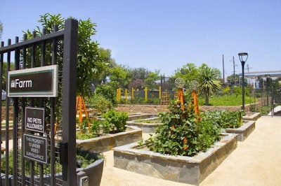 These raised beds are installed at one of the California apartment complexes. Photo: Farmscape