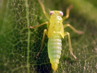 Photo: Utah State University Extension