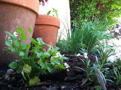 March is one of the best months for mulching because many plants have yet to bloom. This provides more ease to add mulch to flower beds and gardens. Photo: mkreul/Flickr