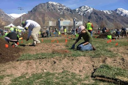 Three-man teams of students rushed to install plants and sod on their plots in the hour and 50 minutes provided for the plant installation event. Photo: Jill Odom