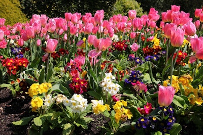 Photo: Kathryn Yengel/Flickr