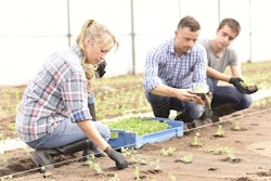 Landscaping Students Learning Common Landscaping Practices
