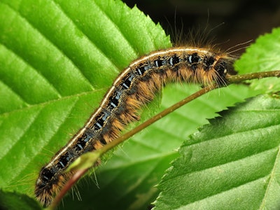 Photo: Katja Schulz/Flickr