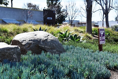 Potable water can instead be used for drinking and other beneficial purposes once a landscape irrigation system is converted to recycled water. Photo: Heaviland Landscape Management