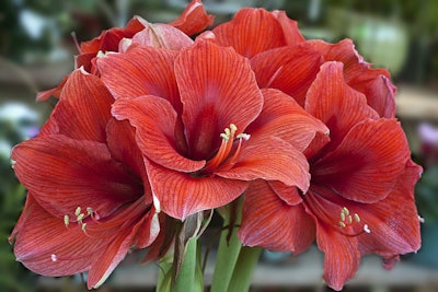 Photo: Liz West/Flickr