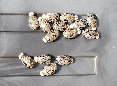 Photo: Coshipi/Flickr