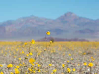 Photo: Vadim Kurland/Flickr