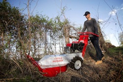 Photo: Little Wonder