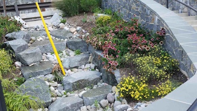 Photo: Chesapeake Stormwater Network