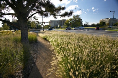 BrightView is installing the majority of streetscapes, parks and open spaces in the Stapleton master-planned urban community, which was once home to the Stapleton International Airport. Photo: BrightView