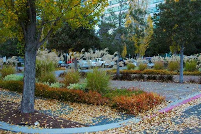 By selecting plants that look good in more than one season you can create yearlong interest. Photo: Wonderlane/Flickr