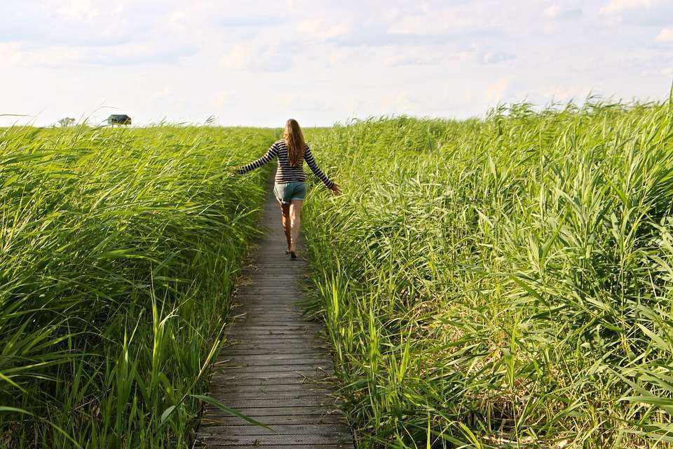 high-grass-woman-walking