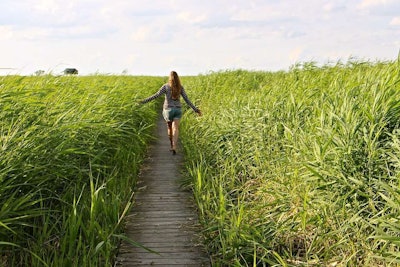 high-grass-woman-walking