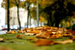Photo: Wikipedia