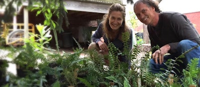 Pictured are Joy Grissom (left) and Gerry Moll (right) working at the Native Plant Rescue Squad. Photo: Native Plant Rescue Squad