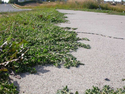 Photo: Matt Lavin/Flickr