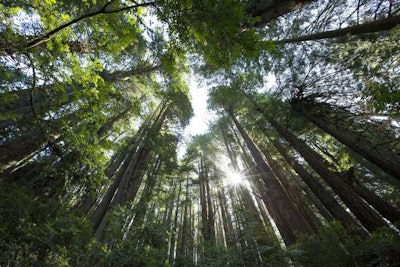 Photo: Kyle Greenberg/Flickr