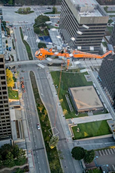 Three tree specimens were transported to Westfield’s U.S. headquarters, which is undergoing expansion. Photo: BrightView