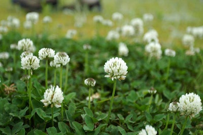 Photo: Hideyuki KAMON/Flickr