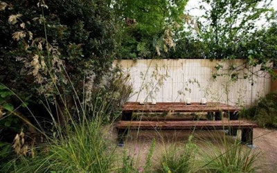 Photo: RHS