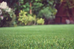 artificial-turf-close-up