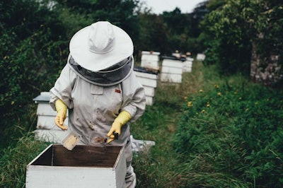 beekeeper tending to bee hives