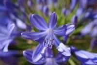 Photo: Steve Maw/Flickr