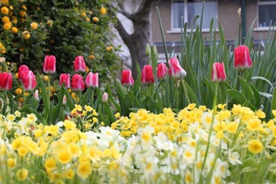 Photo: Tejvan Petting/Flickr