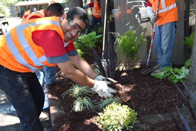 Gachina’s staff helped replace old plant material with drought-tolerant options. Photo: Gachina Landscape Management
