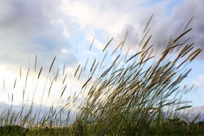 Photo: followtheseinstructions/Flickr