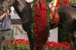 kentucky-derby-winner-roses