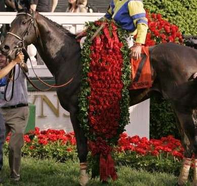 At the conclusion of the race, the winner of the Kentucky Derby is presented with the garland of roses. Photo: Wikipedia