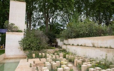 Pictured is M&G Garden designed by James Basson at this year’s RHS Chelsea Flower Show. Photo: RHS
