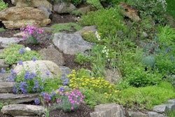 rock-garden
