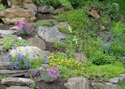 The uses of rocks in the landscape are numerous and can fit various landscaping styles. Photo: Jan Johnsen