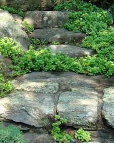 Boulder steps can blend in further with plants growing in the crevices. Photo: Jan Johnsen