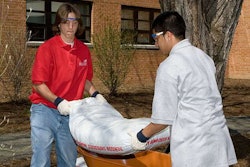 summer-jobs-lifting-osha