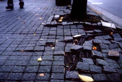tree-roots-under-pavement