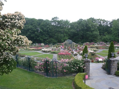 The Peggy Rockefeller Rose Garden is just one of the many gardens NYBG cares for. Photo: Wikipedia